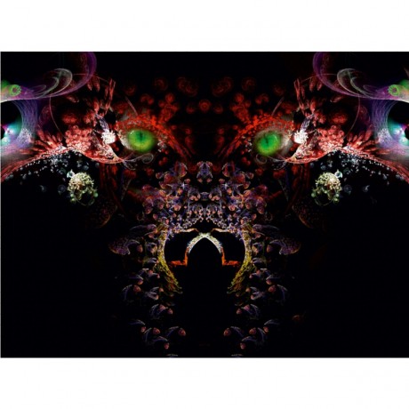 CALVENDO Puzzle CALVENDO Puzzle Der Wolf Пазл CALVENDO Пазл Волк