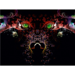 CALVENDO Puzzle CALVENDO Puzzle Der Wolf Пазл CALVENDO Пазл Волк