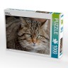 CALVENDO Puzzle CALVENDO Puzzle Wildkatze Пазл CALVENDO Пазл дикая кошка