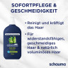 Schauma Shampoo For Men, 750 ml, Schauma мужской шампунь For Men с экстрактом хмеля и провитамином B5, 750 мл