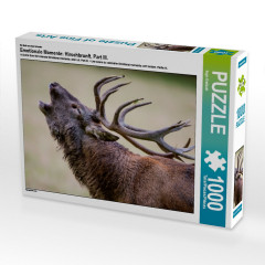 CALVENDO Puzzle CALVENDO Puzzle Emotionale Momente: Hirschbrunft. Part III. Пазл CALVENDO Пазл Эмоциональные моменты: Оленья гонка. Часть 3