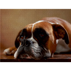 CALVENDO Puzzle CALVENDO Puzzle Maja Пазл CALVENDO Пазл Maya
