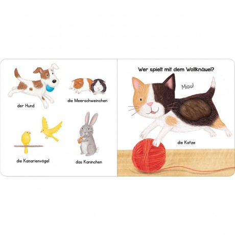 arsEdition Verlag Mein liebstes Streichelbuch Моя любимая книга о питомцах