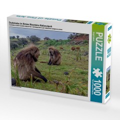 CALVENDO Puzzle CALVENDO Puzzle Dscheladas im Simien Mountains Nationalpark Пазл CALVENDO Puzzle Geladas в национальном парке Симиенские горы