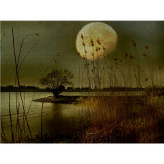 CALVENDO Puzzle CALVENDO Puzzle Sehnsucht der Natur Пазл CALVENDO Puzzle Тоска природы