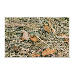 CALVENDO Puzzle CALVENDO Puzzle Emotionale Momente: Einfach Heu. \/ CH-Version Пазл CALVENDO Puzzle Эмоциональные моменты: просто сено. \/ версия CH