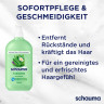 Schauma Shampoo 7 Kraeuter, 750 ml, Schauma освежающий шампунь 7 Kraeuter с комплексом семи трав и провитамином B5, 750 мл