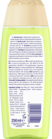 Fa Flower Burst Duschgel Summer Edition 250 ml, Гель для душа FA Flower Burst Summer Edition с цветочным ароматом, 250 мл