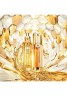 GUERLAIN GUERLAIN ABEILLE ROYALE ADVANCED YOUTH WATERY OIL Gesichtsol transparent GUERLAIN ABEILLE ROYALE ADVANCED YOUTH WATERY OIL Масло для лица