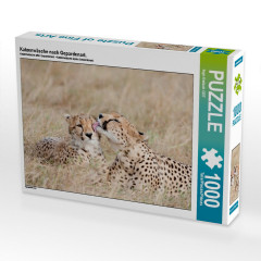 CALVENDO Puzzle CALVENDO Puzzle Katzenwasche nach Gepardenart. Пазл CALVENDO Puzzle Кошка в стиле гепарда.