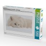 CALVENDO Puzzle CALVENDO Puzzle Emotionale Momente: Polarwolfe. \/ CH-Version Пазл CALVENDO Пазл Эмоциональные моменты: арктические волки. \/ версия CH