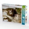 CALVENDO Puzzle CALVENDO Puzzle Emotionale Momente: Der Wolf. Пазл CALVENDO Пазл Эмоциональные моменты: Волк.