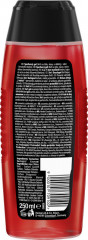 Fa Men Attraction Force 2in1 Duschgel 250 ml, Мужской гель для душа FA Attraction Force 2 в 1 для тела и волос с ароматом бергамота и лайма, 250 мл