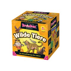 BrainBox BrainBox Брэйнбокс