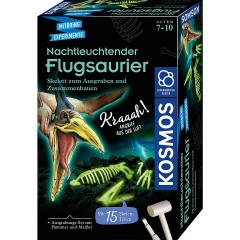 Kosmos Nachtleuchtender Flugsaurier Серебристый птеродактиль