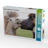 CALVENDO Puzzle CALVENDO Puzzle Sturmische Begrussung der Islandhengste. Пазл CALVENDO Puzzle Бурный привет от исландских жеребцов.