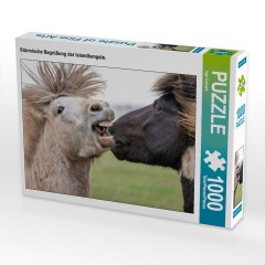 CALVENDO Puzzle CALVENDO Puzzle Sturmische Begrussung der Islandhengste. Пазл CALVENDO Puzzle Бурный привет от исландских жеребцов.