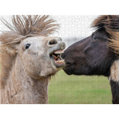 CALVENDO Puzzle CALVENDO Puzzle Sturmische Begrussung der Islandhengste. Пазл CALVENDO Puzzle Бурный привет от исландских жеребцов.