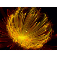 CALVENDO Puzzle CALVENDO Puzzle Stunning Fractalblumen Пазл CALVENDO Puzzle Потрясающие фрактальные цветы
