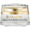 Collistar (Коллистар) Pure Actives Hyaluronic Acid AquaGel Гель для лица, 50 мл