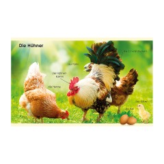 Dorling Kindersley Verlag Erstes Lernen mini: Bauernhof Первое обучающее мини: ферма