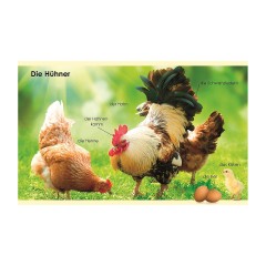 Dorling Kindersley Verlag Erstes Lernen mini: Bauernhof Первое обучающее мини: ферма