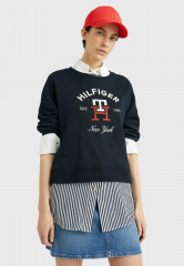 Tommy Hilfiger ARCHED LOGO MONOGRAM  Sweatshirt desert sky ARCHED LOGO MONOGRAM Толстовка небо пустыни