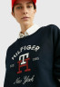 Tommy Hilfiger ARCHED LOGO MONOGRAM  Sweatshirt desert sky ARCHED LOGO MONOGRAM Толстовка небо пустыни