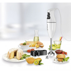 Esge Esge Stabmixer ESGE M100D Stabmixer 120 W Weiss, 120 W  Погружной блендер Esge Ручной блендер ESGE M100D 120 Вт белый, 120 Вт