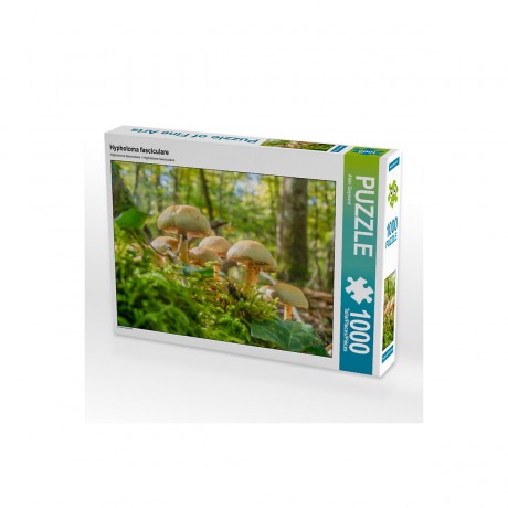 CALVENDO Puzzle CALVENDO Puzzle Hypholoma fasciculare Пазл CALVENDO Puzzle Hypholoma fasciculare