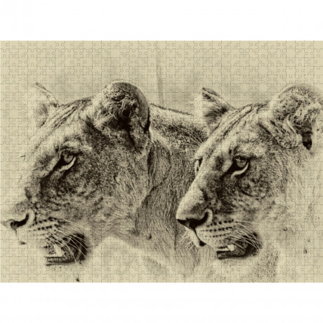 CALVENDO Puzzle CALVENDO Puzzle Safari Пазл CALVENDO Puzzle Сафари
