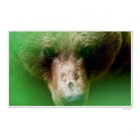 CALVENDO Puzzle CALVENDO Puzzle Emotional Moments: Die Augen der Tiere. UK-Version Пазл CALVENDO Puzzle Emotional Moments: Глаза животных. версия для Великобритании