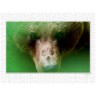 CALVENDO Puzzle CALVENDO Puzzle Emotional Moments: Die Augen der Tiere. UK-Version Пазл CALVENDO Puzzle Emotional Moments: Глаза животных. версия для Великобритании