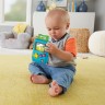 Mattel Fisher-Price Lernspass Lil Gamer mit Musik und Licht Fisher-Price Learning Fun Lil Gamer с музыкой и светом
