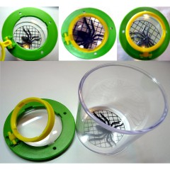 Edu-Toys 2 Stuck Becherlupen 2 увеличительных стекла кружки