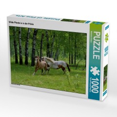 CALVENDO Puzzle CALVENDO Puzzle Wilde Pferde in in der Prarie Пазл CALVENDO Puzzle Дикие лошади в прериях
