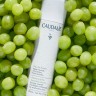 Caudalie Weintrauben-Gesichtswasser Виноградный тоник для лица