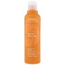 Aveda Sun Care Hair & Body Cleanser  Солнцезащитное очищающее средство для волос и тела