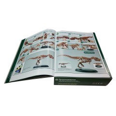 Edu-Toys Dinosaurier T-Rex Bausatz 30 cm mit Fossilien Набор динозавров T-Rex 30 см с окаменелостями