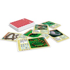 ASS Altenburger TOP ASS Giftige Tiere TOP ASS Ядовитые животные