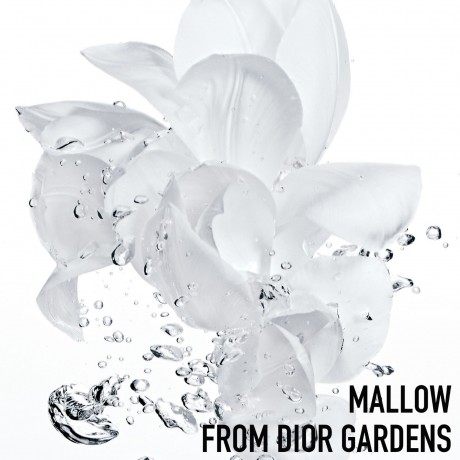 DIOR FRESH SORBET CREME FEUCHTIGKEITSCREME FRESH SORBET CREME УВЛАЖНЯЮЩИЙ КРЕМ