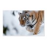 CALVENDO Puzzle CALVENDO Puzzle Emotionale Momente: Tiger Пазл CALVENDO Puzzle Эмоциональные моменты: тигр