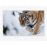 CALVENDO Puzzle CALVENDO Puzzle Emotionale Momente: Tiger Пазл CALVENDO Puzzle Эмоциональные моменты: тигр