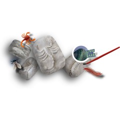 SES Creative Leuchtende Fossilien Светящиеся окаменелости