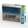 CALVENDO Puzzle CALVENDO Puzzle Emotionale Momente: Muffelwild. Пазл CALVENDO Пазл Эмоциональные моменты: муфлон.