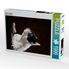 CALVENDO Puzzle CALVENDO Puzzle Juno Пазл CALVENDO Пазл Юнона