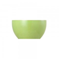 Thomas Thomas Sunny Day Apple Green Zuckerschale 6 Pers. 0,25 L Сахарница Thomas Sunny Day Apple Green 6 перс. 0,25 л