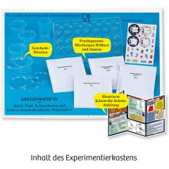 Kosmos Fun Science Fruchtgummi-Labor Fun Science Gummy Lab