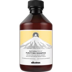 Davines (Давинес) Naturaltech Purifying Shampoo Шампунь от перхоти , 1000 мл