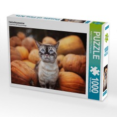 CALVENDO Puzzle CALVENDO Puzzle Herbstimpression Пазл CALVENDO Пазл Осеннее впечатление